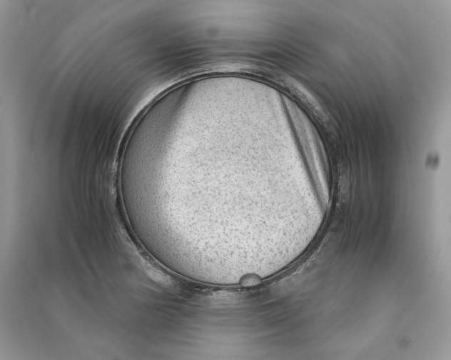 X0000090601178200708141324