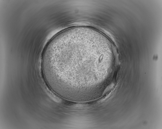 X0000090601179200708141324