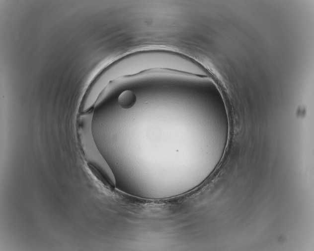 X0000090601181200708141324