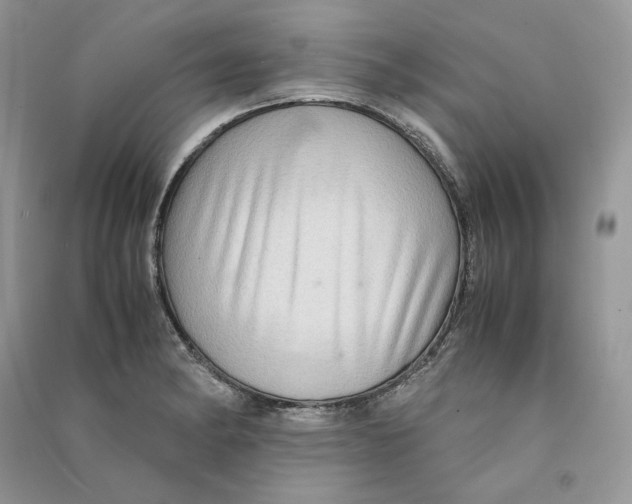 X0000090601182200708141324