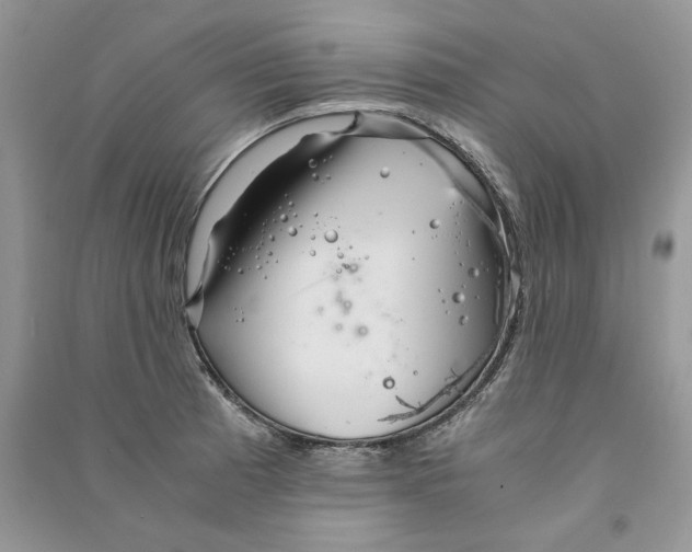 X0000090601185200708141324