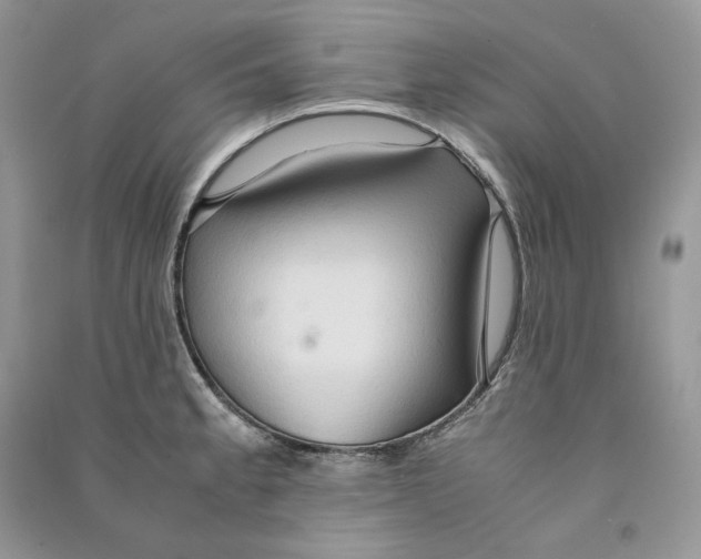 X0000090601189200708141324