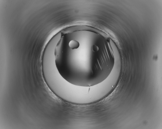 X0000090601192200708141324