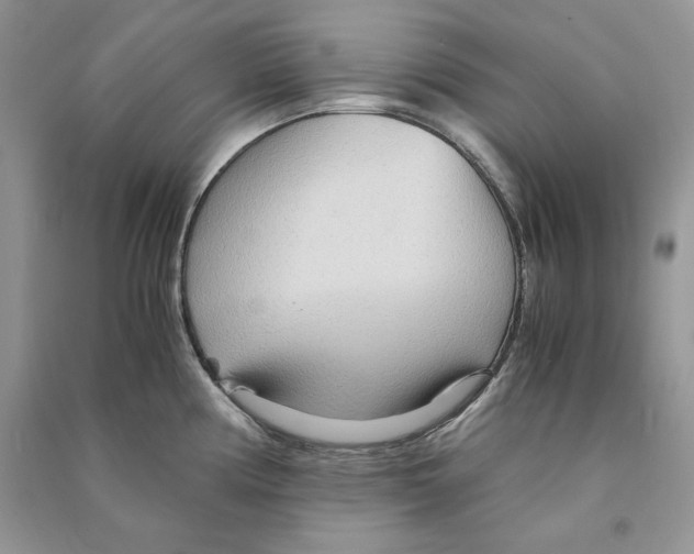 X0000090601194200708141324