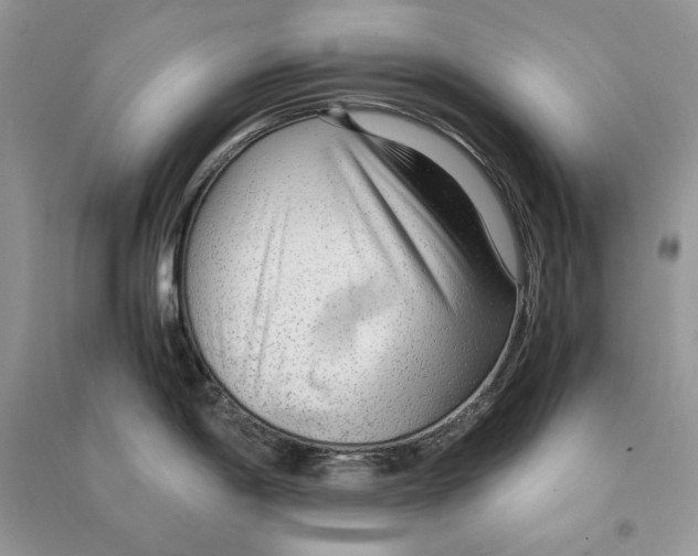 X0000090601198200708141324