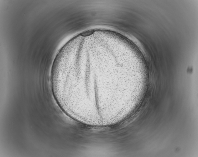 X0000090601199200708141324