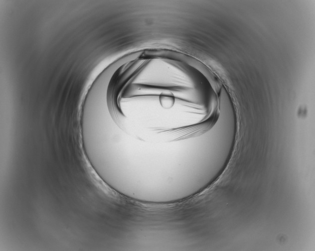 X0000090601200200708141324