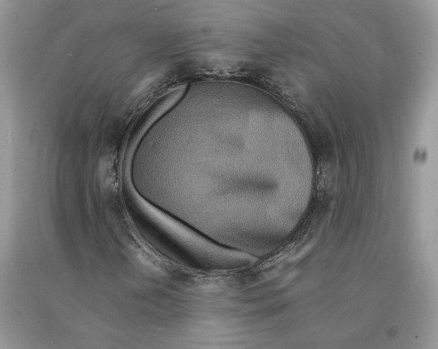 X0000090601202200708141323