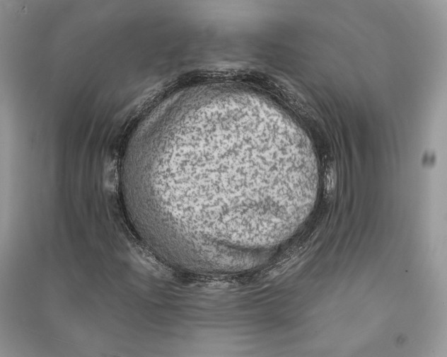 X0000090601204200708141324