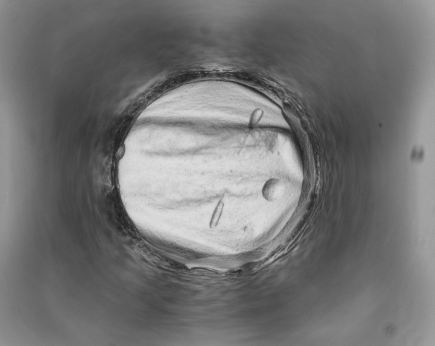 X0000090601205200708141324