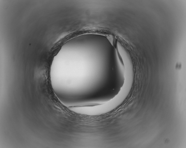 X0000090601206200708141324