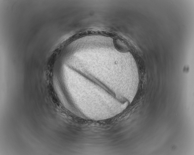 X0000090601207200708141324