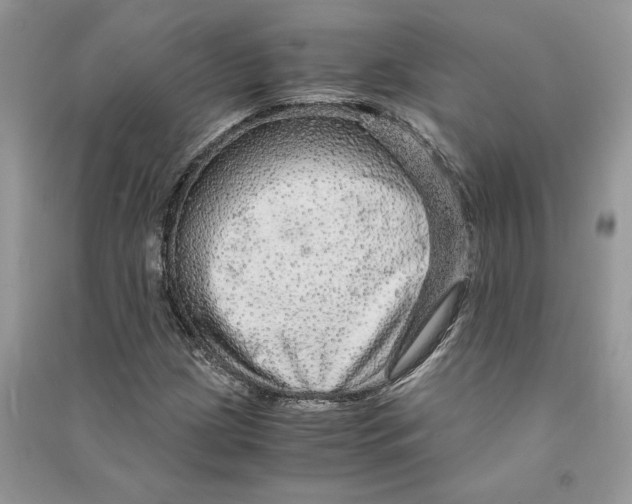 X0000090601209200708141324