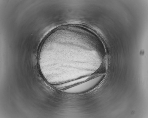 X0000090601212200708141324