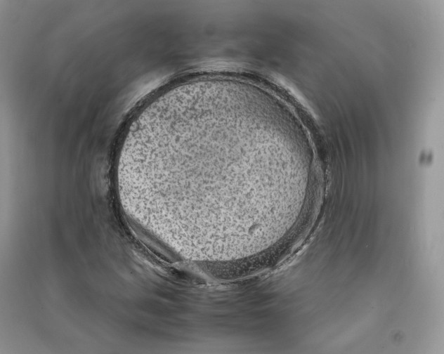 X0000090601213200708141324