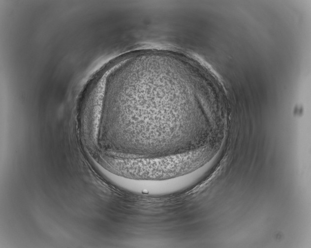 X0000090601215200708141324