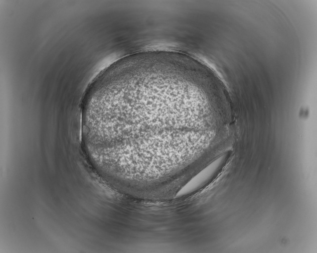 X0000090601219200708141324