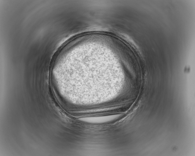 X0000090601220200708141324