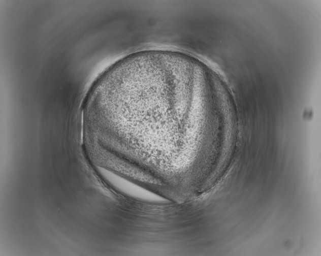 X0000090601223200708141324