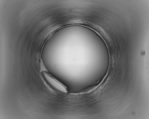 X0000090601225200708141324