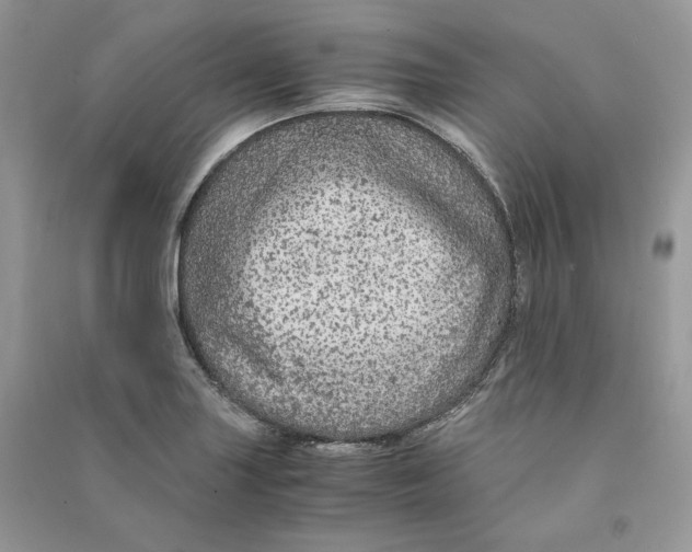 X0000090601227200708141324