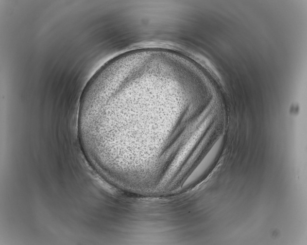 X0000090601228200708141324