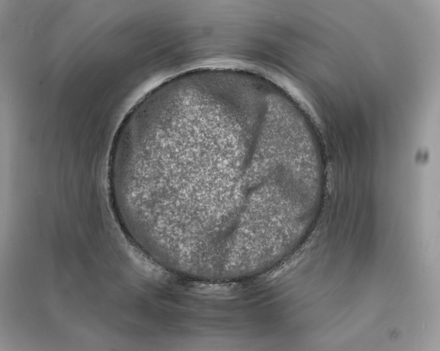 X0000090601229200708141324