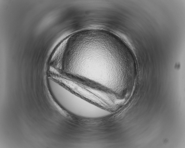 X0000090601235200708141324