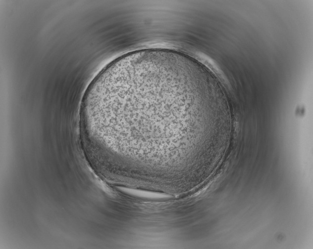 X0000090601236200708141324