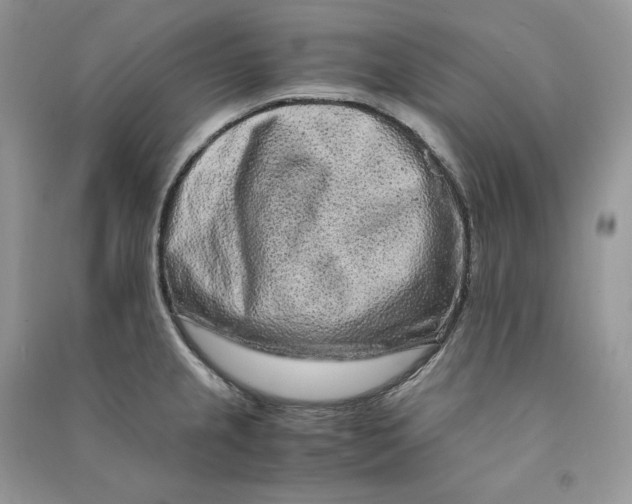 X0000090601237200708141324