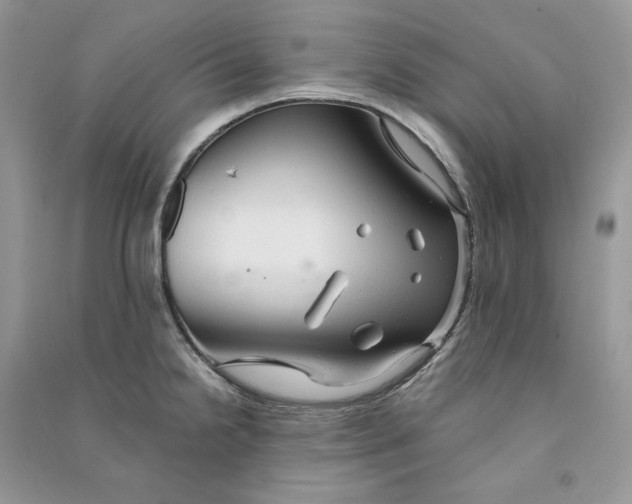 X0000090601238200708141324