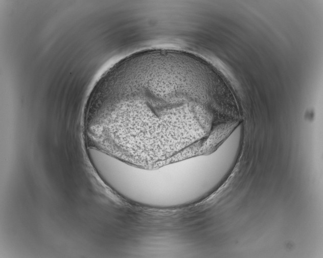 X0000090601240200708141324