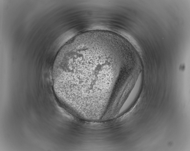 X0000090601241200708141324