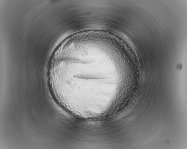 X0000090601243200708141324