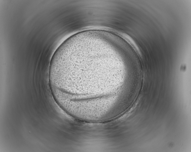 X0000090601244200708141324