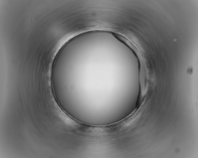 X0000090601246200708141324