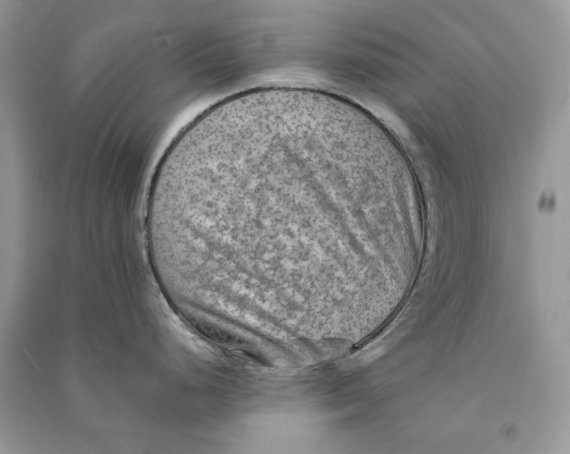 X0000090601248200708141324