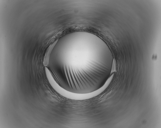 X0000090601250200708141323