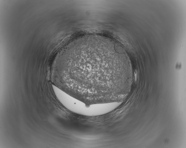 X0000090601251200708141323