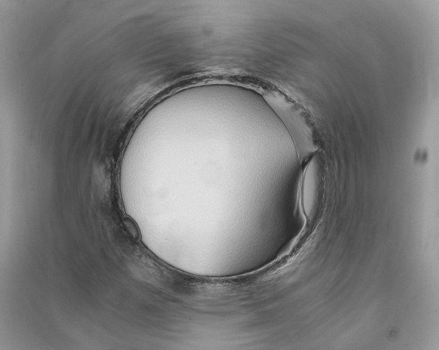 X0000090601257200708141323