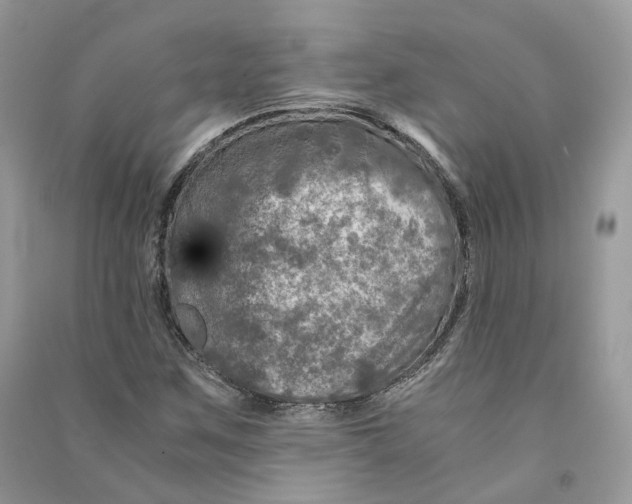 X0000090601259200708141323