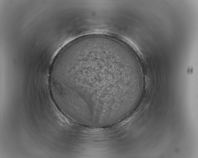 X0000090601260200708141323