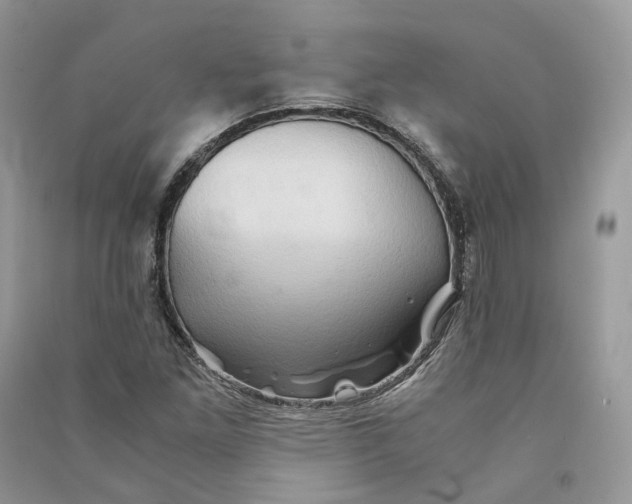 X0000090601261200708141323