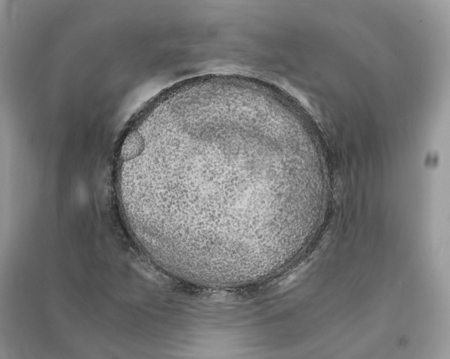 X0000090601263200708141323