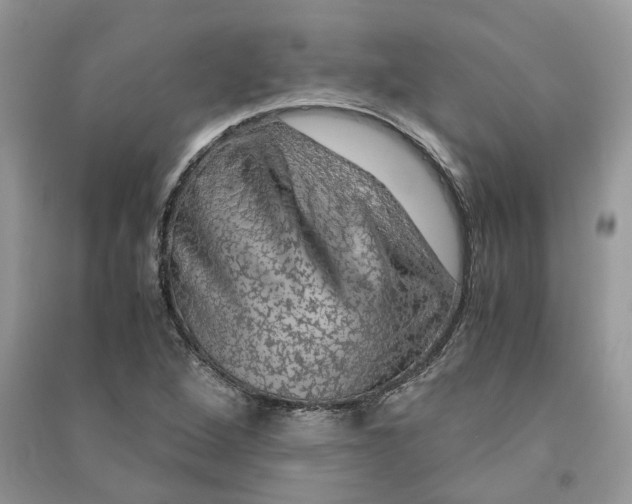 X0000090601264200708141323