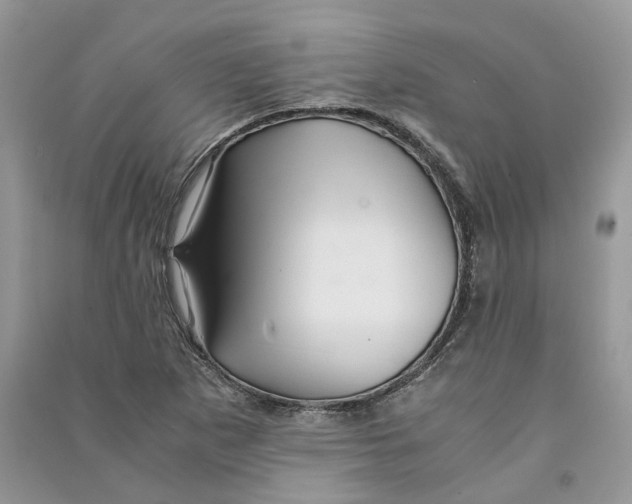 X0000090601265200708141323