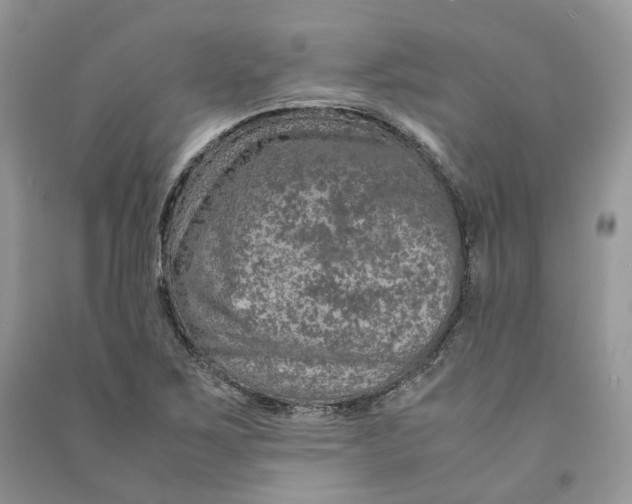 X0000090601267200708141323