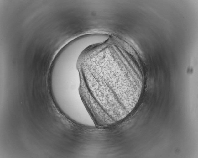 X0000090601268200708141323