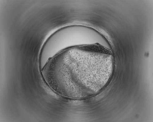 X0000090601280200708141323