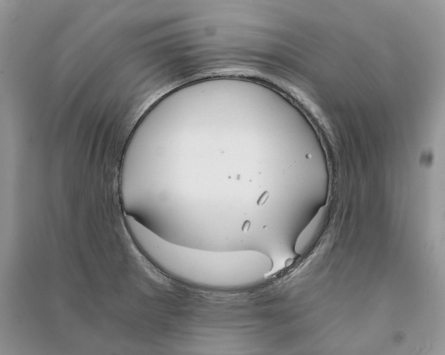 X0000090601281200708141323